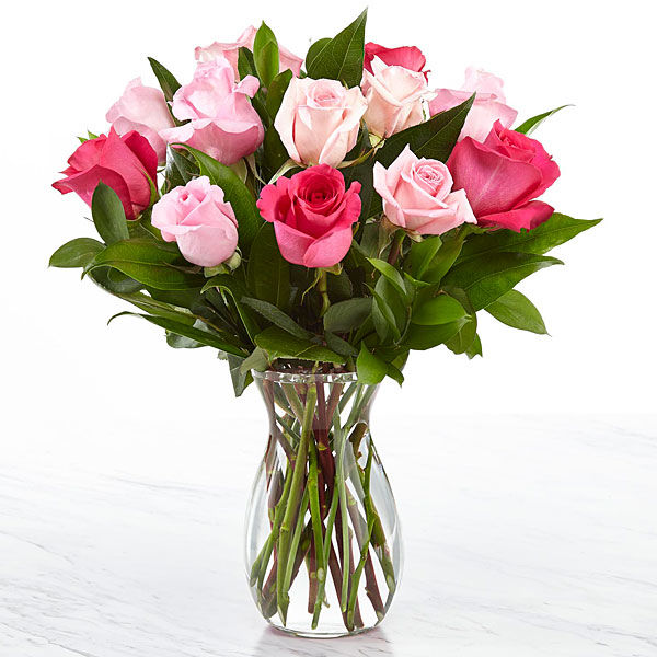 Pink Roses Wonder